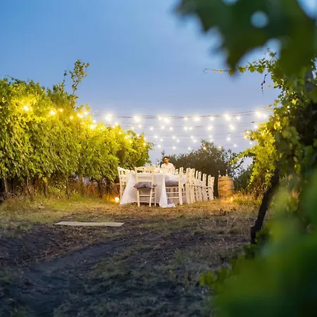 Vesuvio Inn Bed & Wine Experience-2